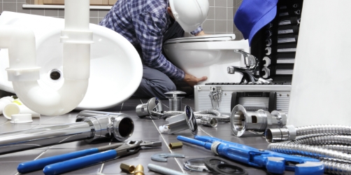 clogged toilet repair